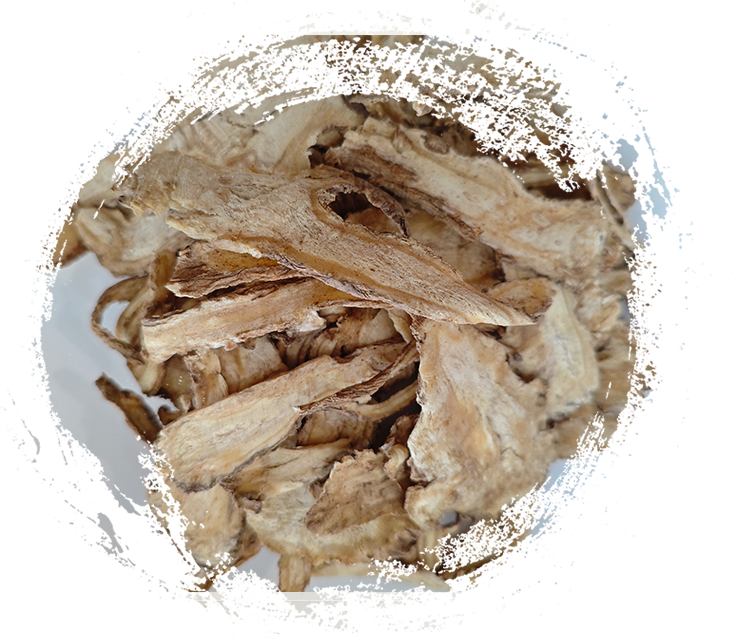 Apa yang Menjadikan Tumbuhan Herba TCM Sangat Berkuasa? Ciri-ciri Diterangkan