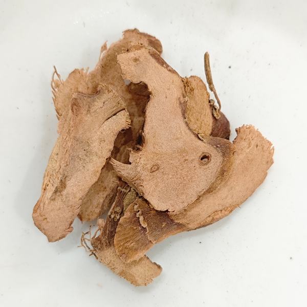 lengkuas kecil (Kaempferia galanga)