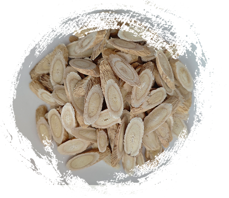 Memahami Tumbuhan TCM: Herba Ubat dan Kegunaan Tradisionalnya