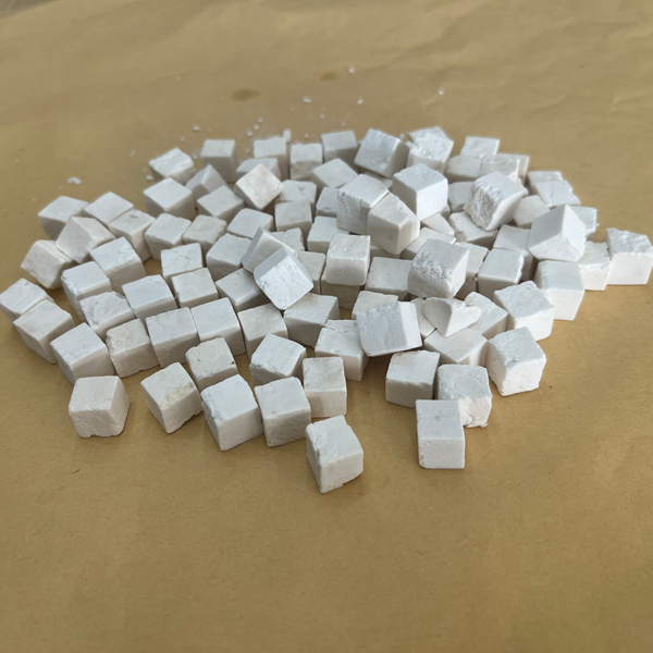 Wolfiporia extensa (kulat pereput kayu)