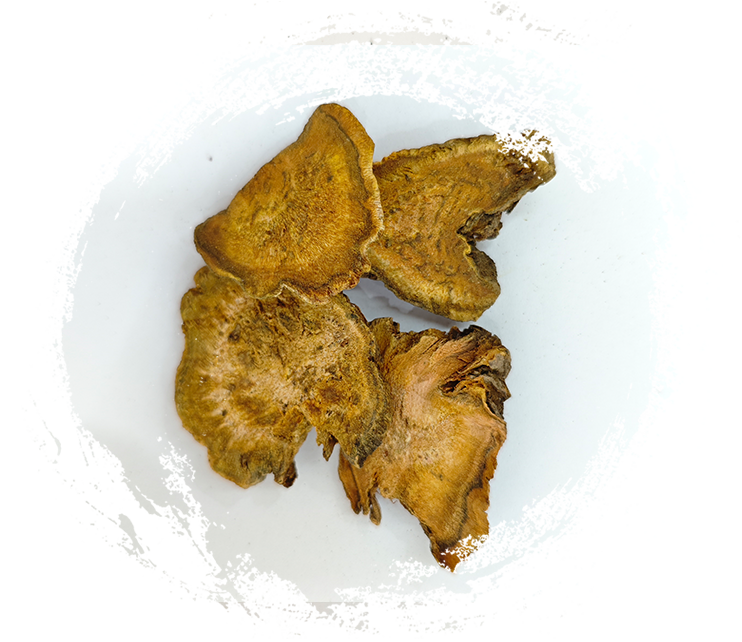 Menyelam yang mendalam ke dalam kegunaan tumbuhan ubat dalam perubatan tradisional Cina