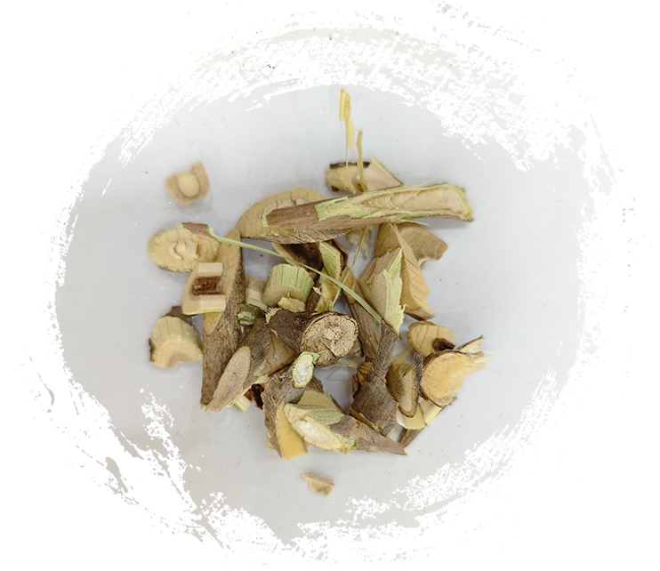 Manyprickle (Acanthopanax senticosus)