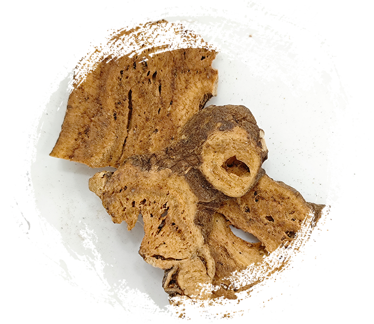 Atractylodes macrocephala panggang