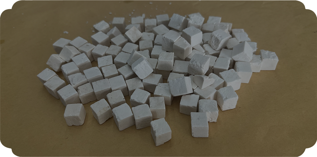 Wolfiporia extensa (kulat pereput kayu)