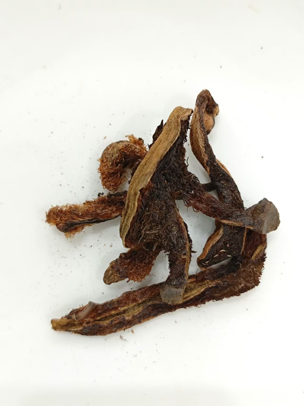 Pembaikan serpihan tulang