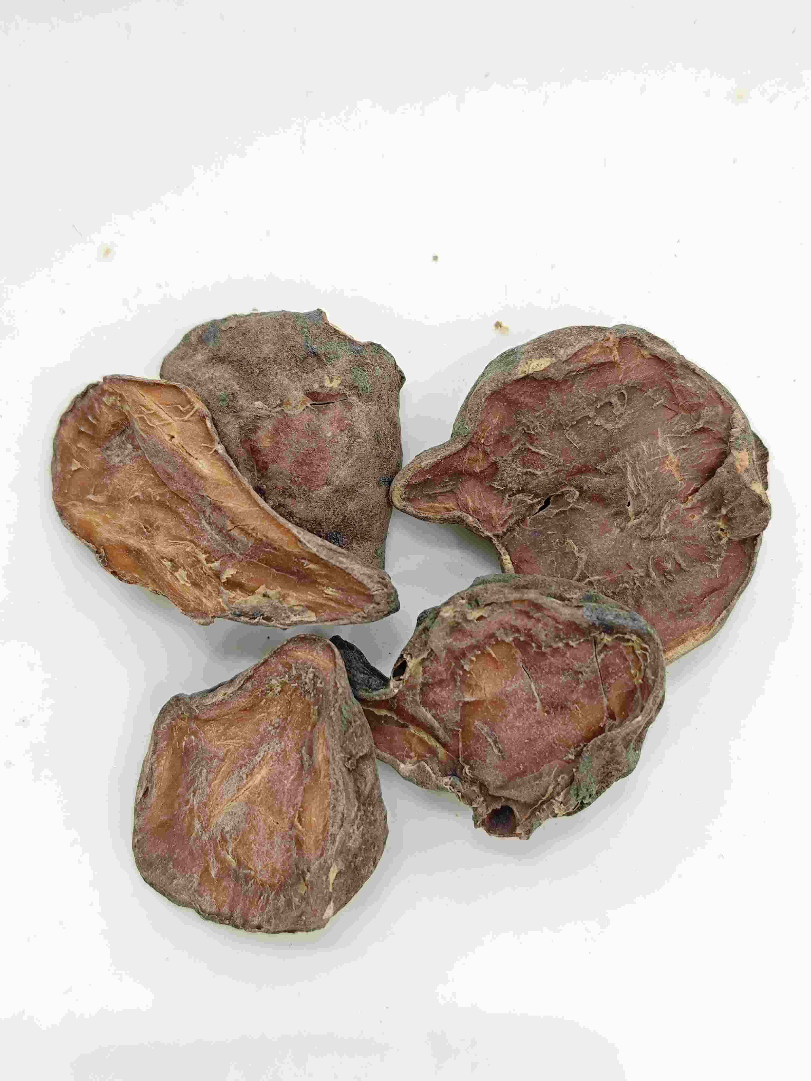 Slice aconite yang disediakan, paofupian