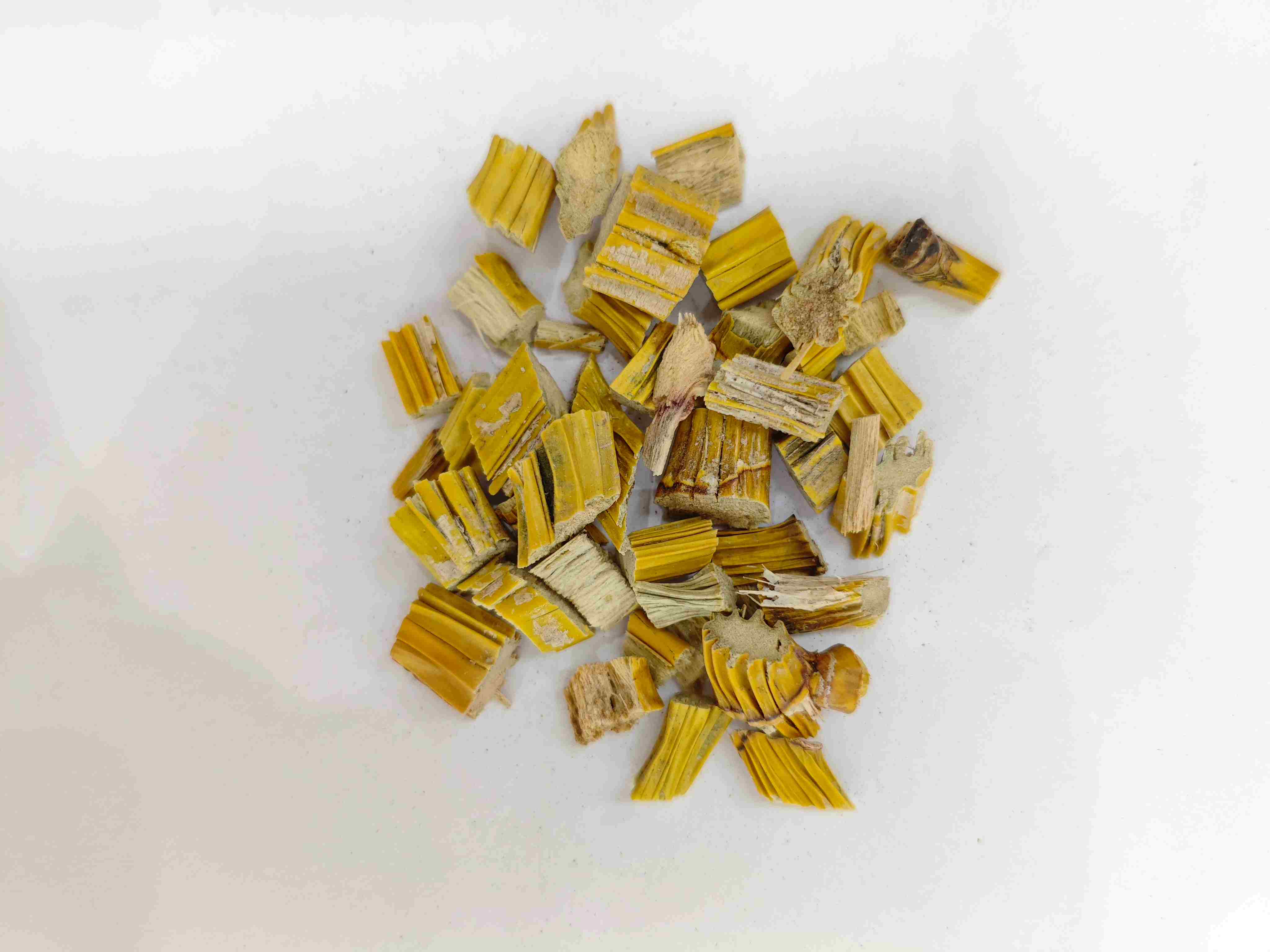 Dendrobium batang (shihu)