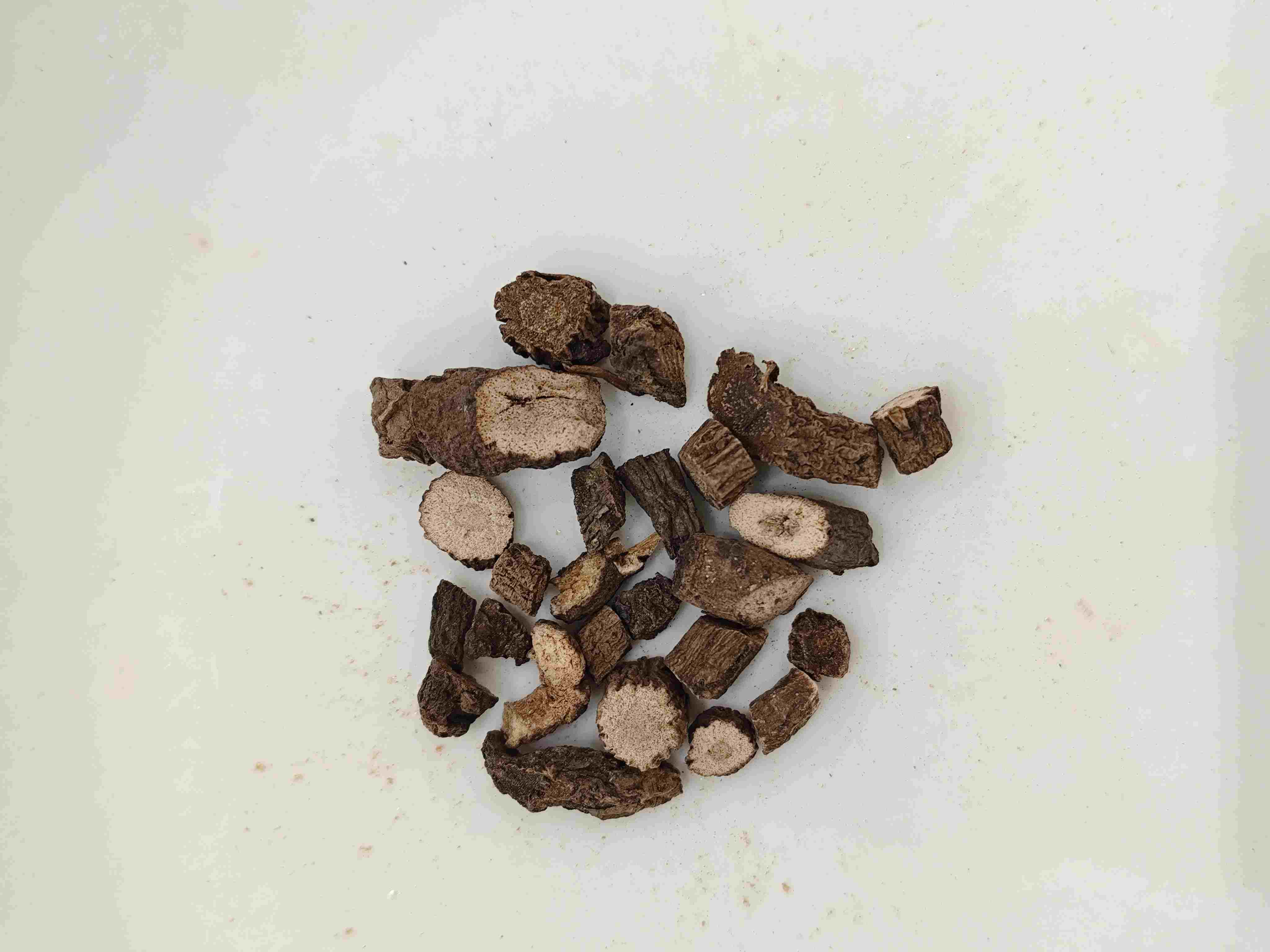 Rhizome Curculigo (xianao)