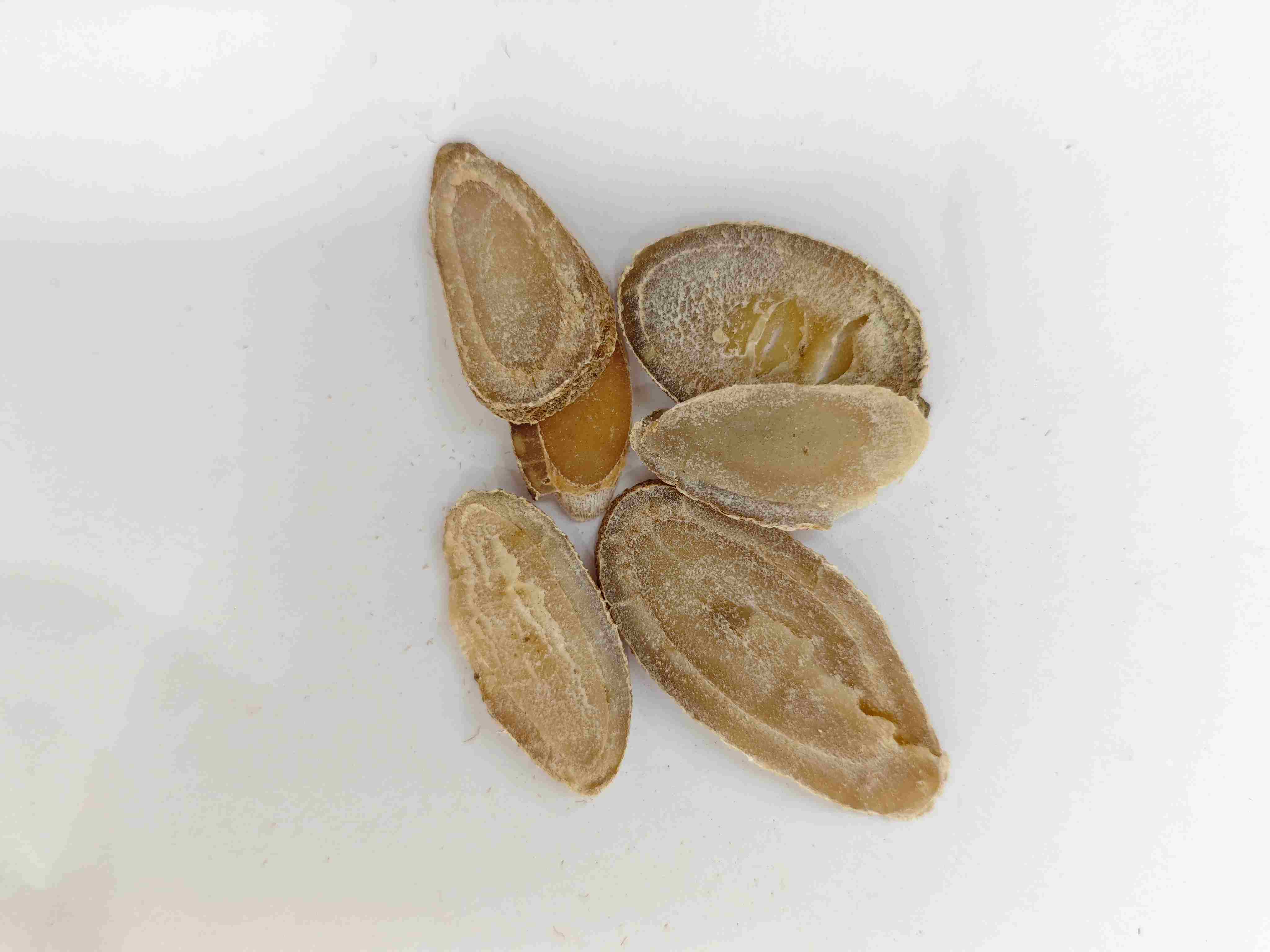 Rhizome Turmeric (Yujin)