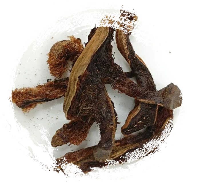 Pembaikan serpihan tulang