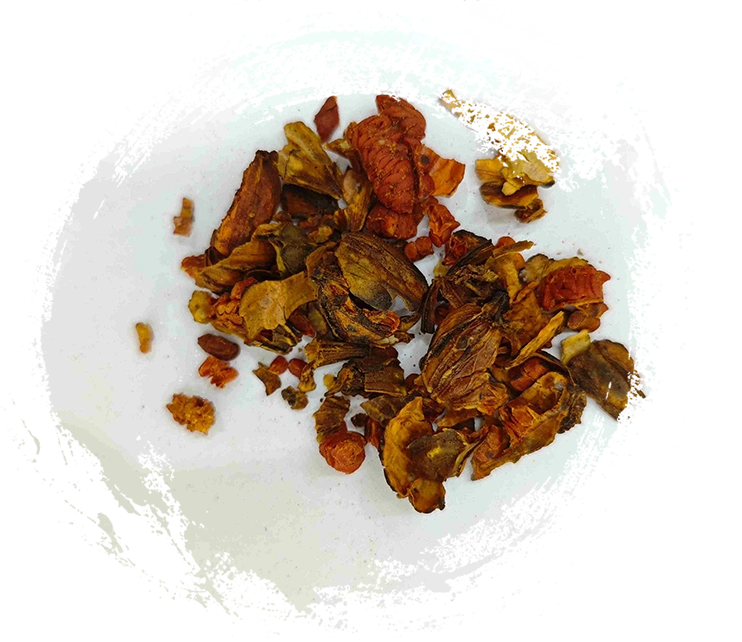 Gardenia hangus, Jiaozhizi