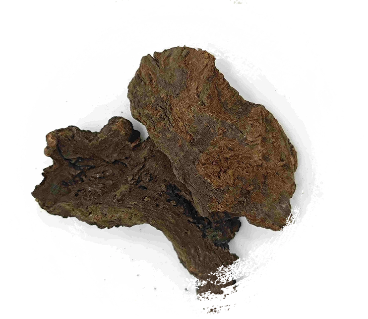 Rhubarb yang disediakan dengan wain, Jiu Dahuang