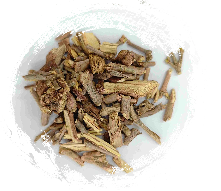 Ephedra Root, Mahuanggen