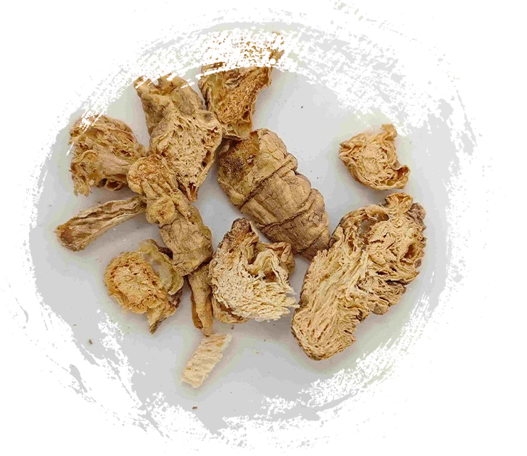 Codonopsis Selatan, Nan Sha Shen