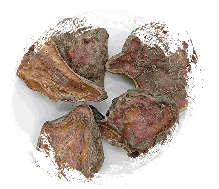 Slice aconite yang disediakan, paofupian