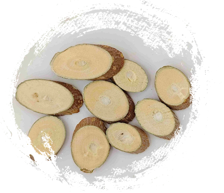 Cawangan Mulberry (Sangzhi)