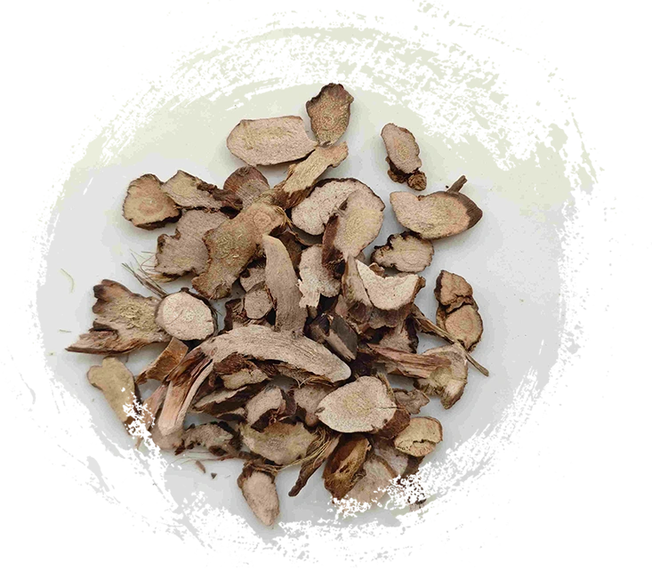 Calamus Rhizome (Shichangpu)