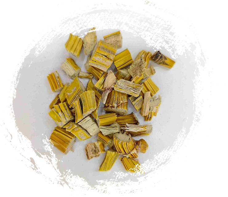 Dendrobium batang (shihu)