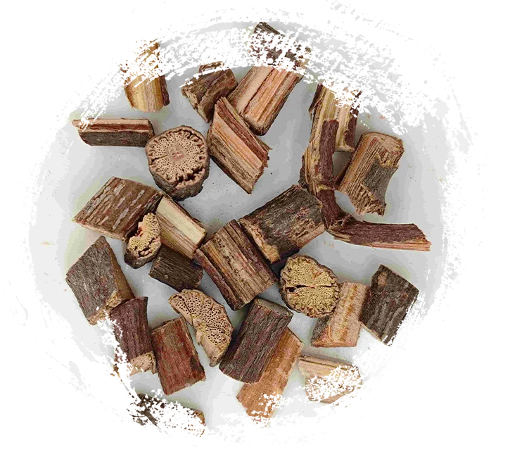 Batang multiflorum polygonum (shouwuteng)