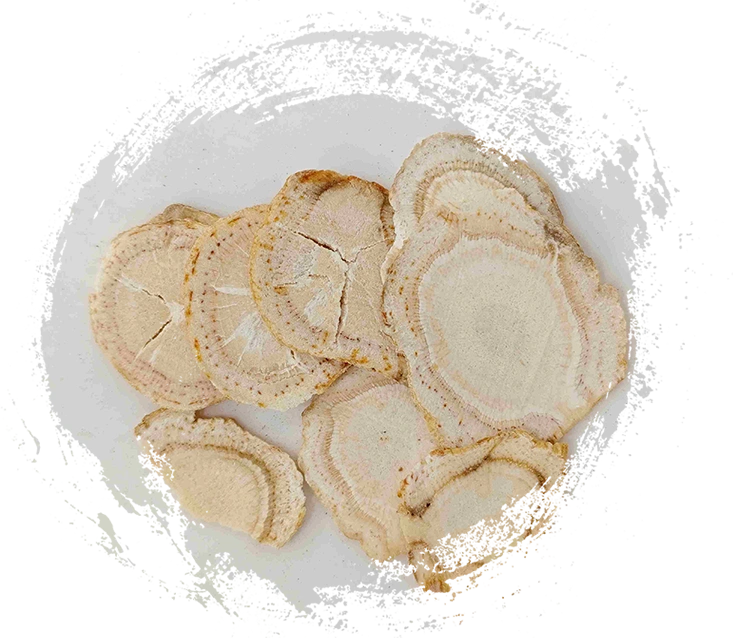 Meneroka Kuasa Perubatan Tradisional Cina dengan Tumbuhan TCM