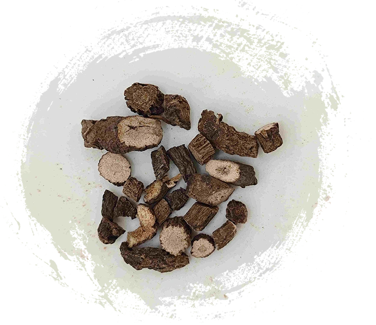 Rhizome Curculigo (xianao)