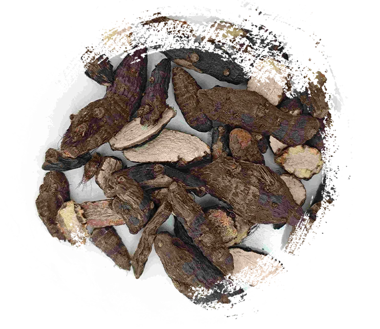 Rhizome Cyperus (xiangfu)