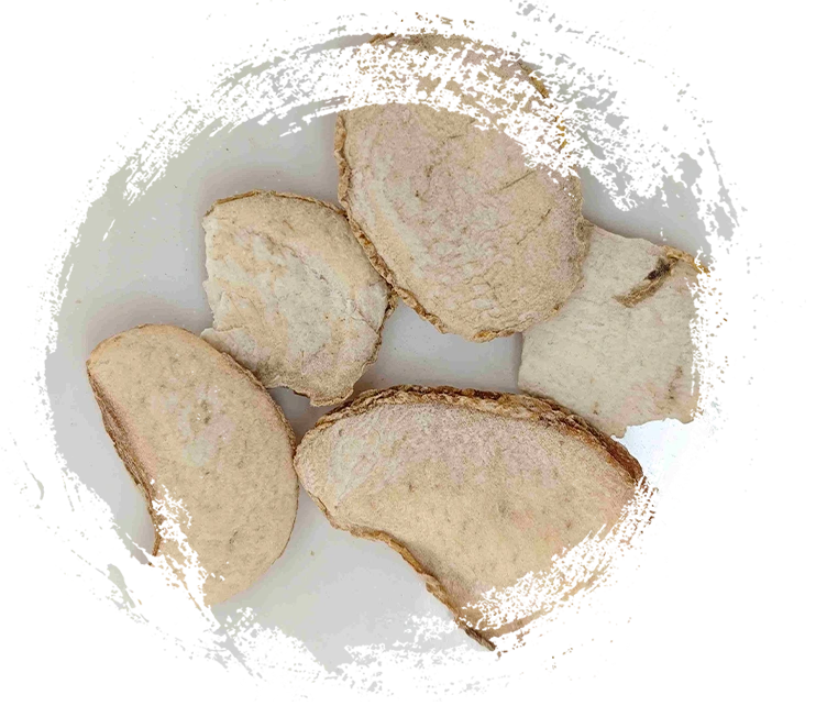 Mentol Fritillary Zhejiang (Zhebeimu)