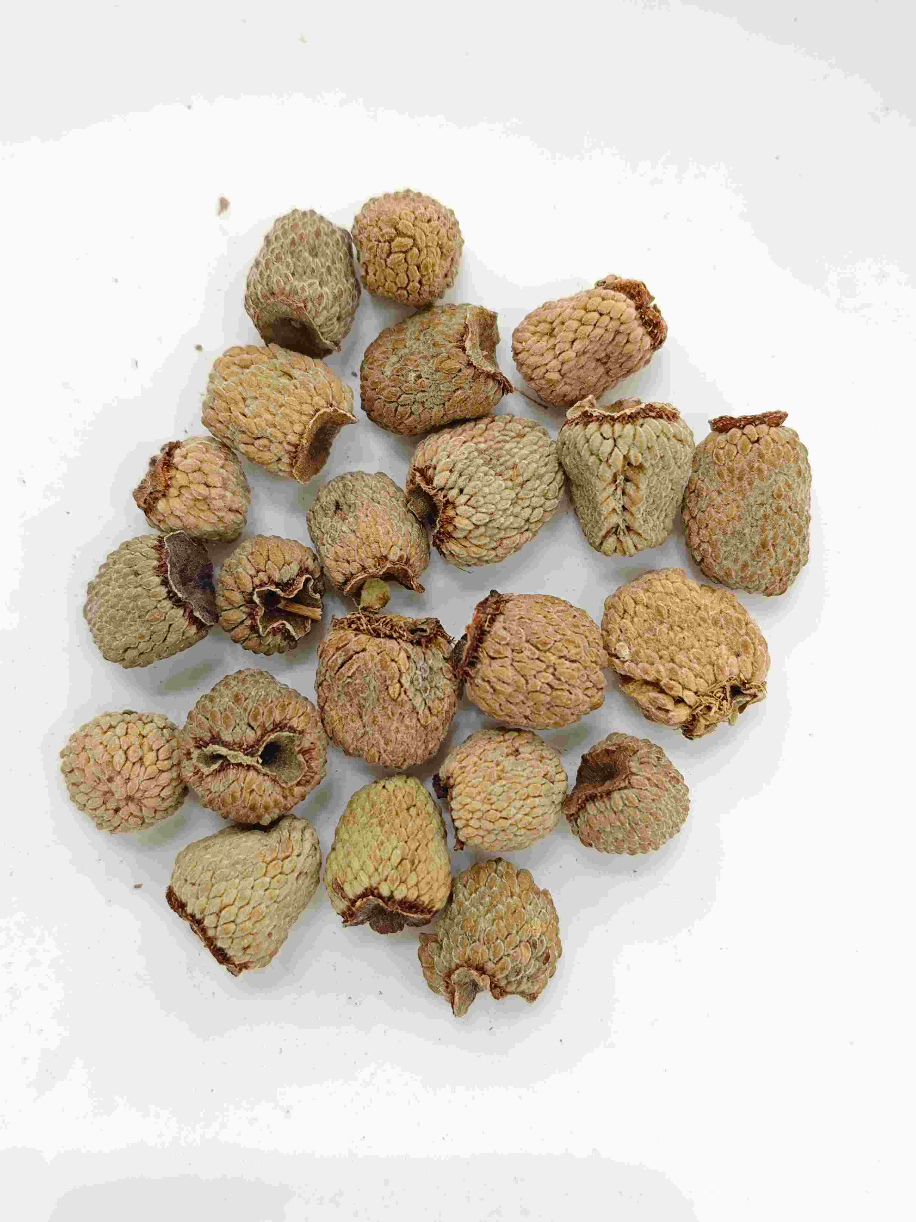 Buah raspberry (fù pén zǐ)
