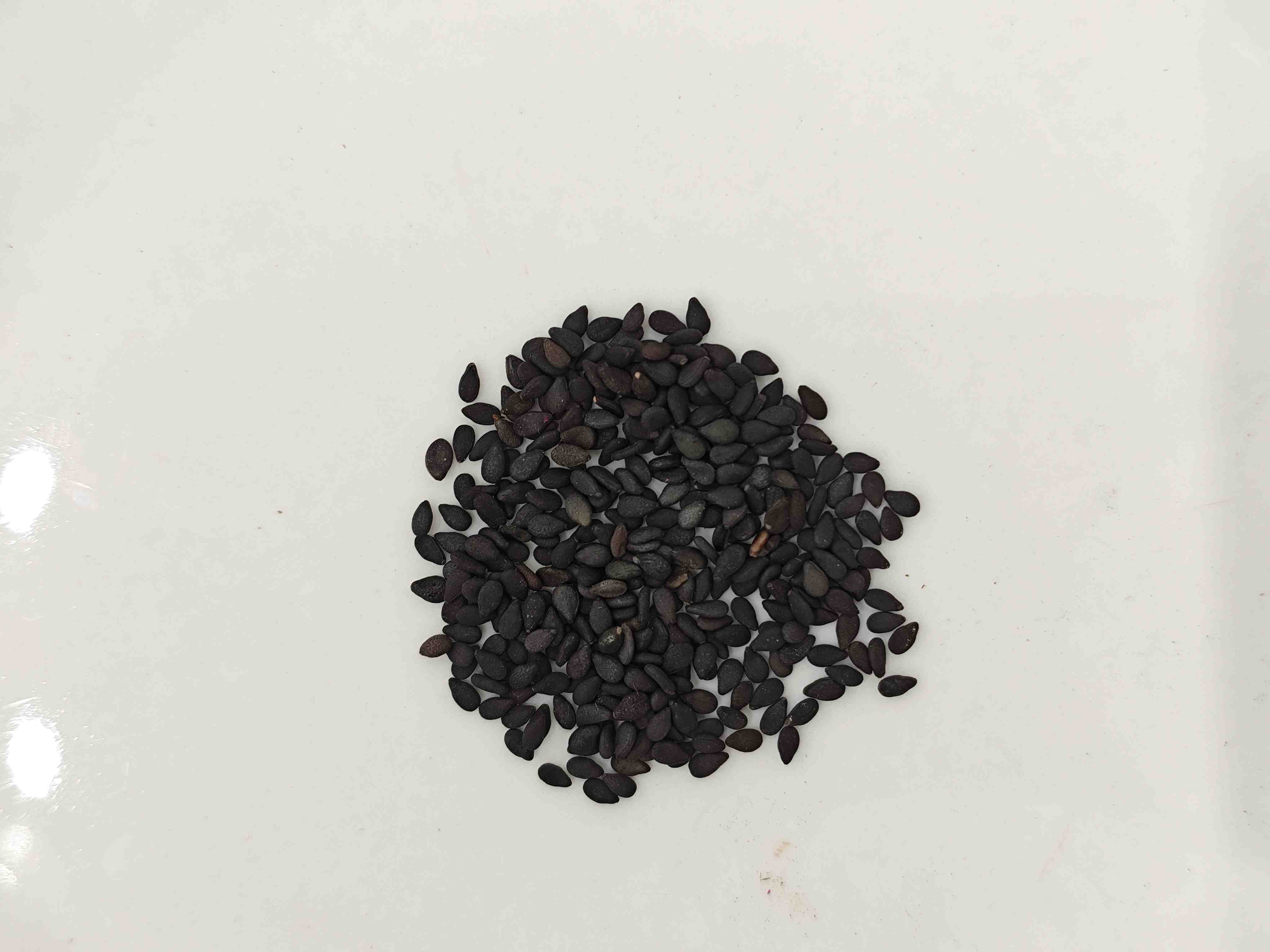 Benih Wijen Hitam (Hēi Zhīm&aacute;)