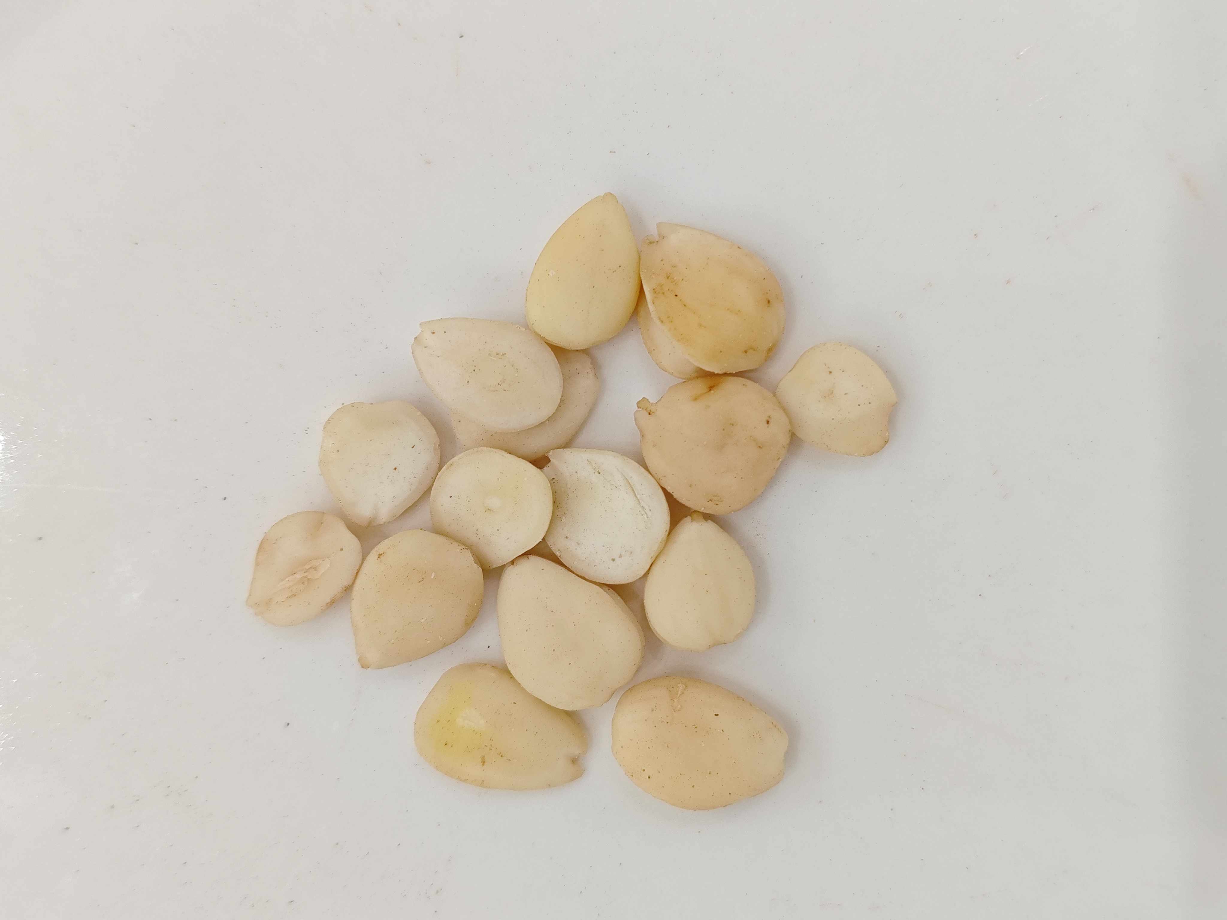 Benih aprikot pahit (kǔ xìngrén)