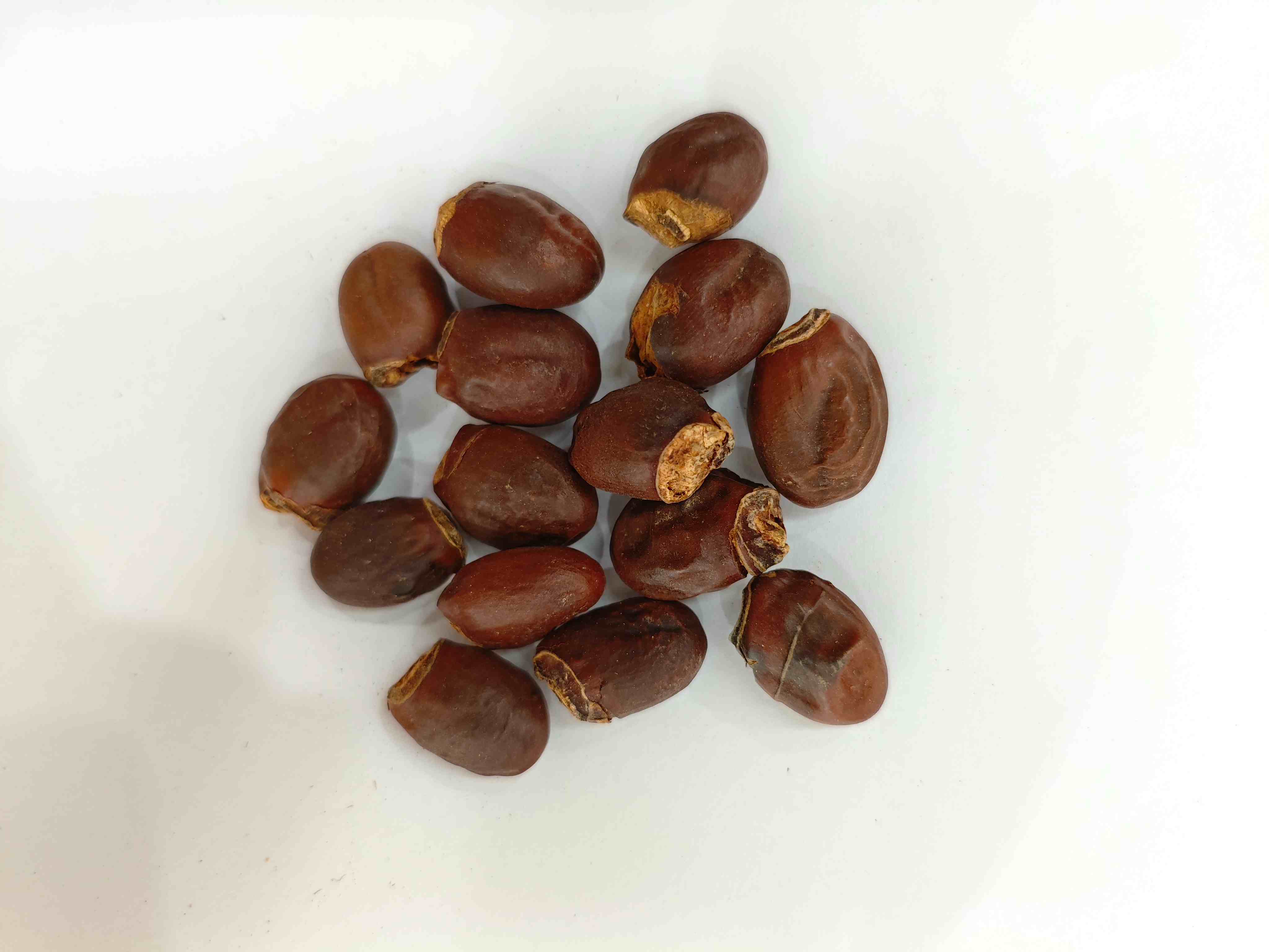 Lychee Seed (Lìzhī Hé)