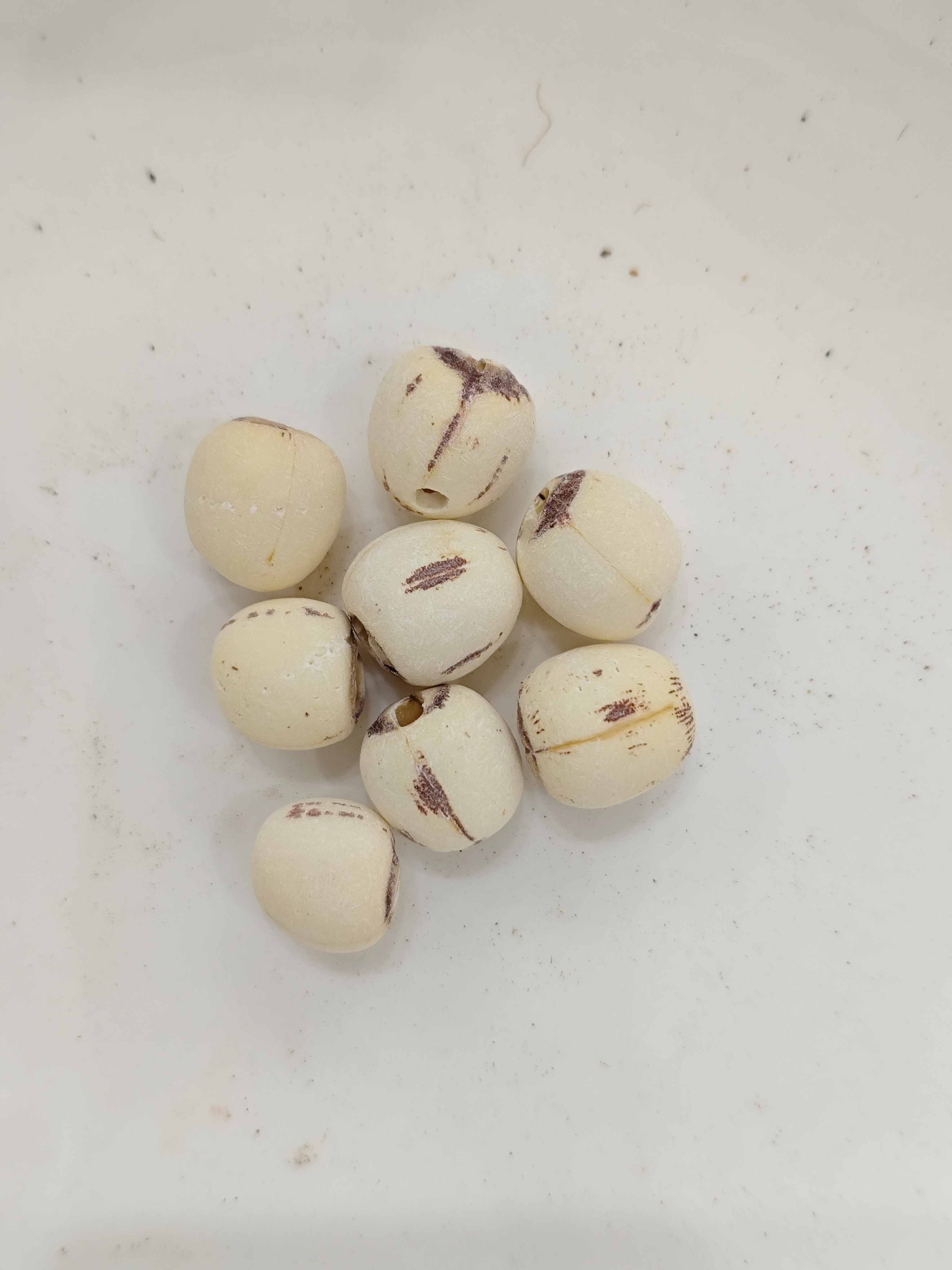 Benih Lotus (liánzǐ)