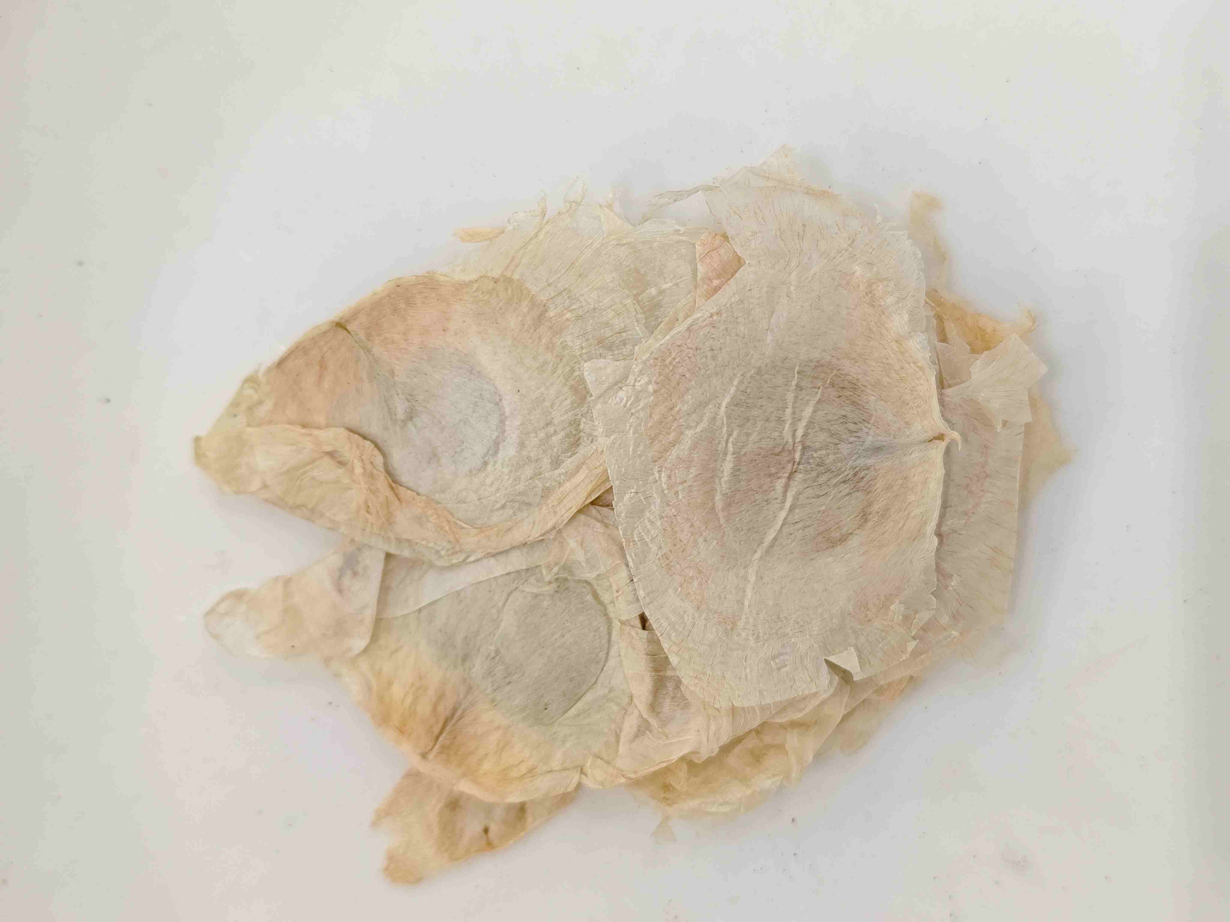 Kulit kayu rama -rama (mù húdié)