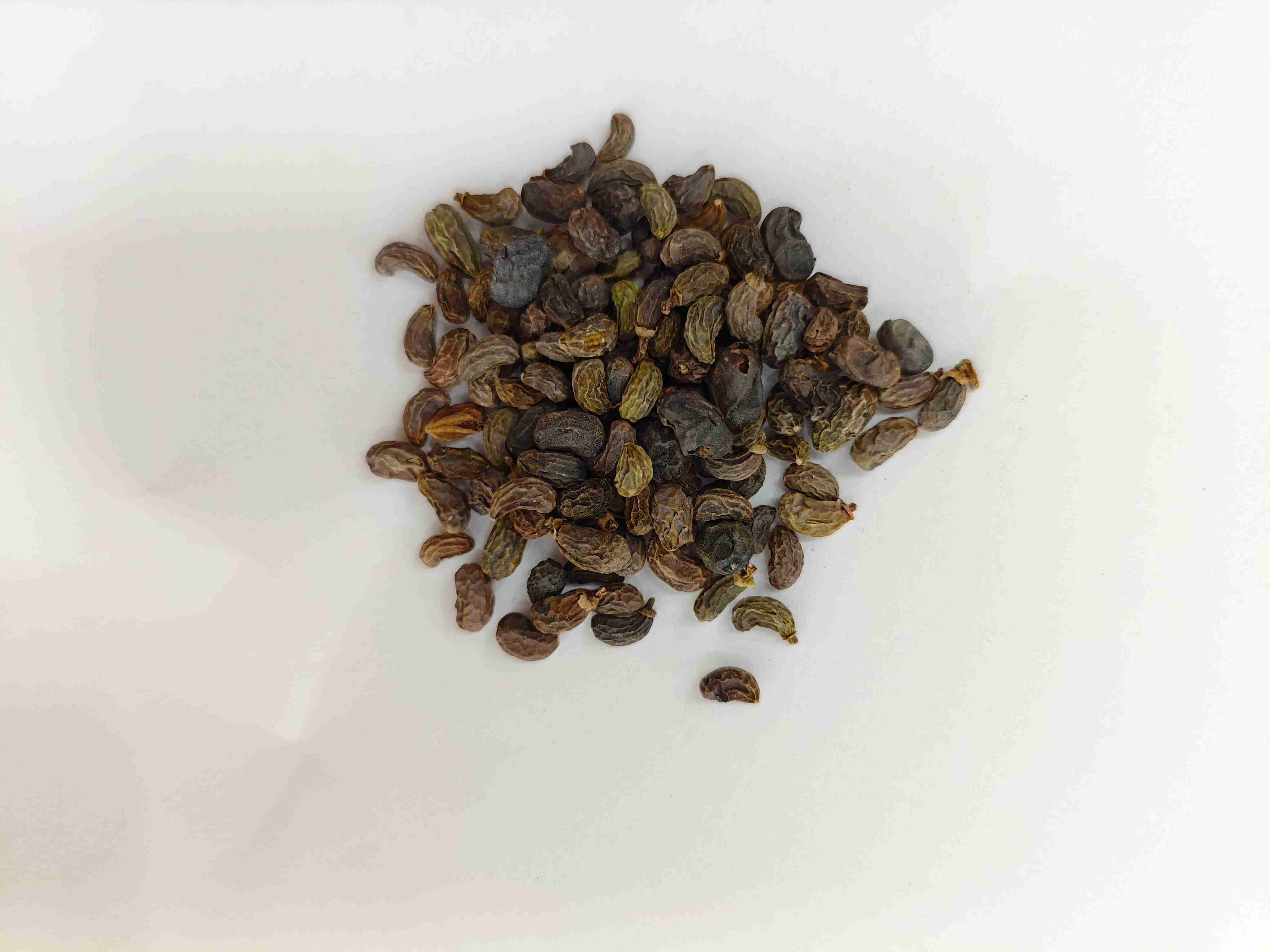 Buah ligustrum (nǚzhēnzǐ)