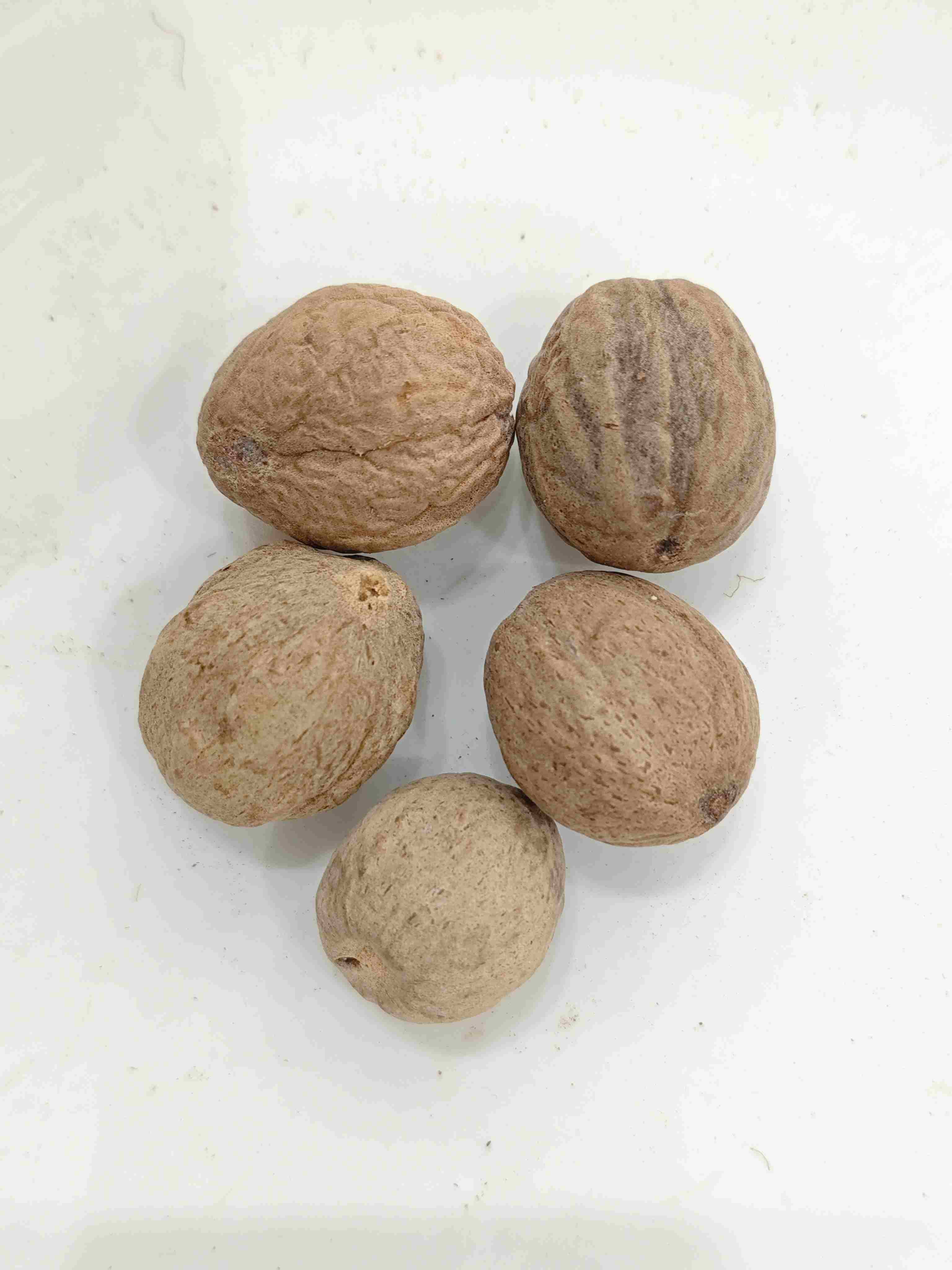 Nutmeg (Ròudòukòu)
