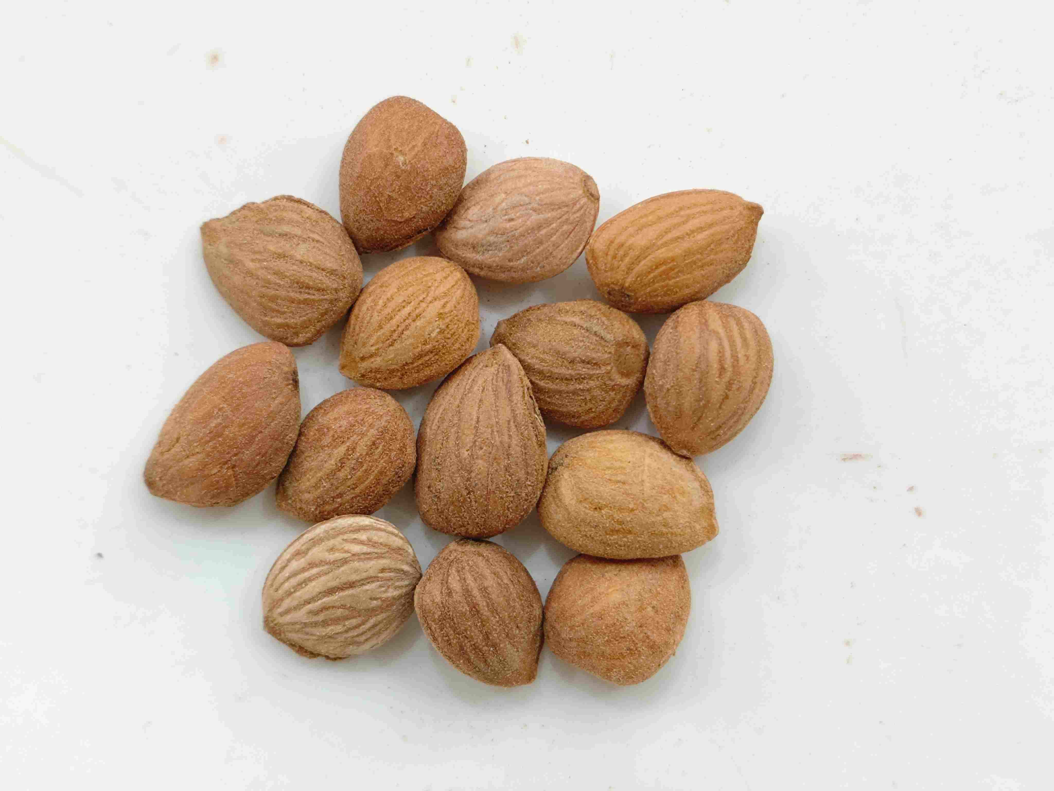 Kernel Peach (Táorén)