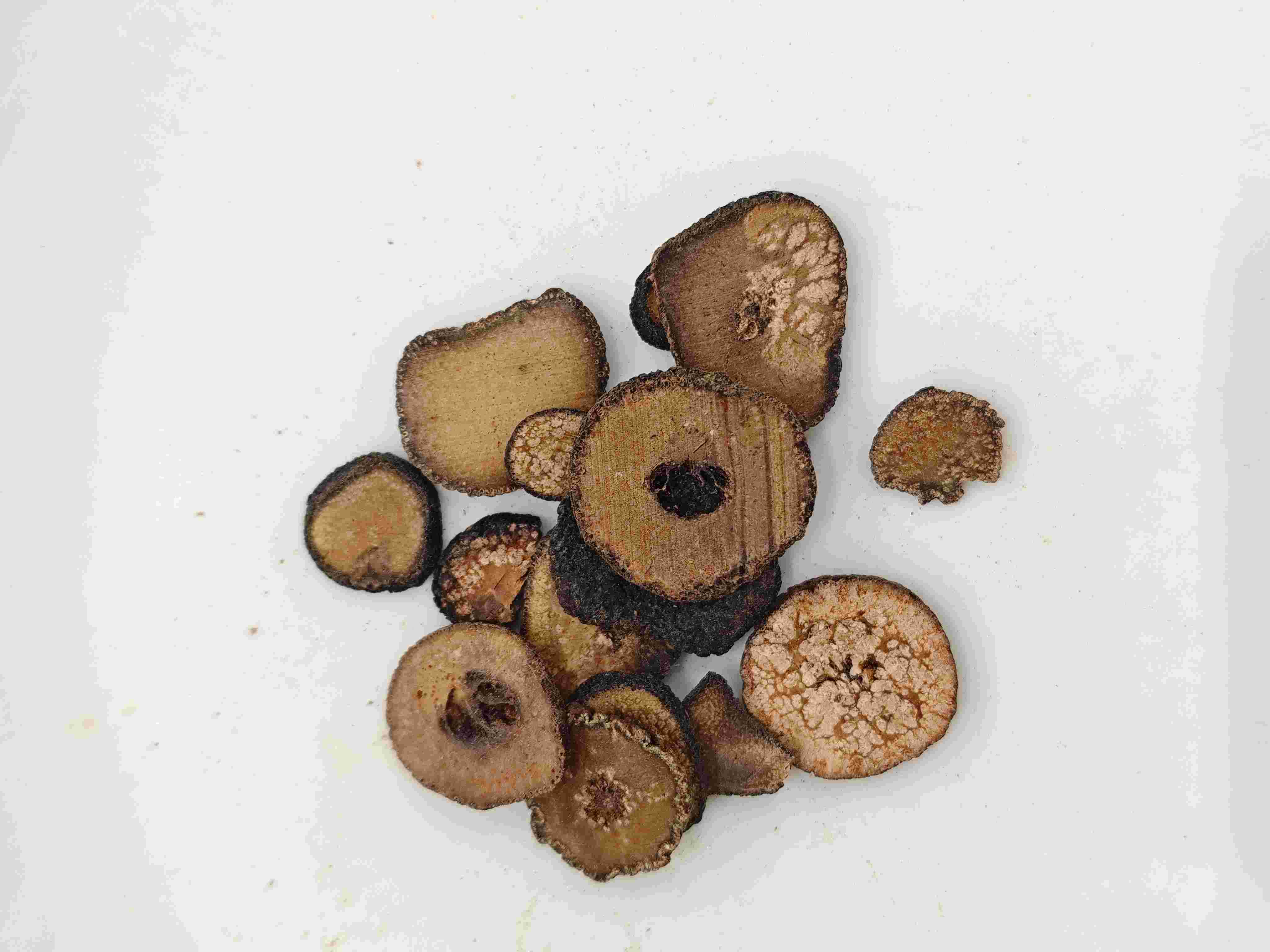 Oren pahit yang belum matang (zhǐshí)