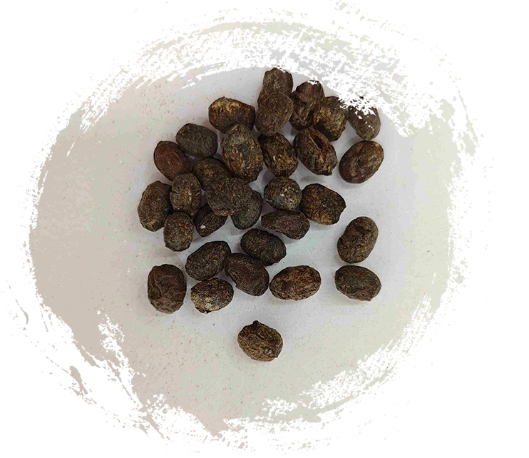 Kacang kedelai yang ditapai (dàn dòu chǐ)