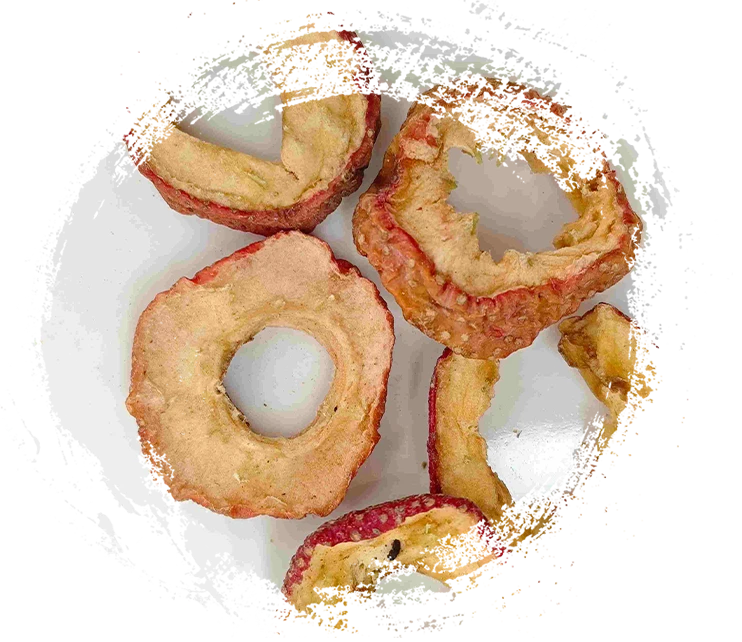 Memahami fungsi tumbuhan herba dalam perubatan tradisional Cina