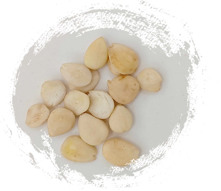 Mengintegrasikan Tumbuhan TCM ke dalam Rutin Kesihatan Anda: Petua dan Faedah Praktikal