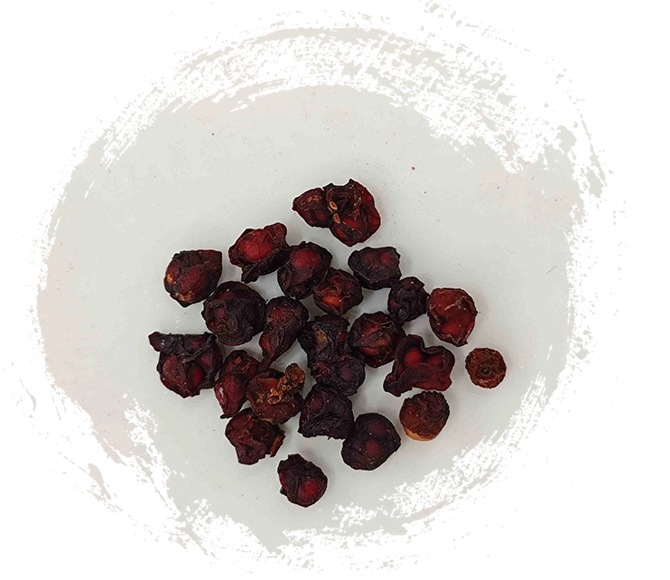 Buah Schisandra (wǔwèizǐ):