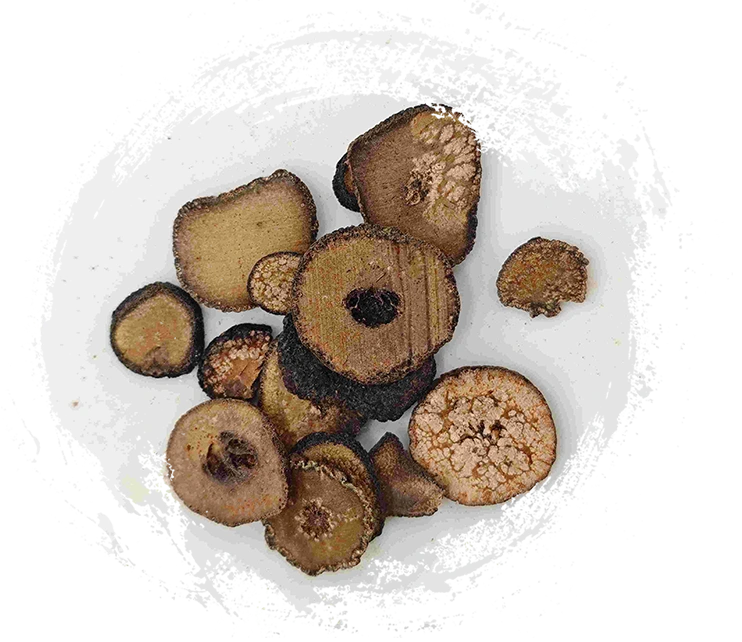 Oren pahit yang belum matang (zhǐshí)