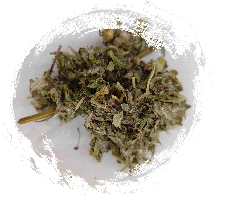 Thistle yang lebih rendah (xiǎo jì)