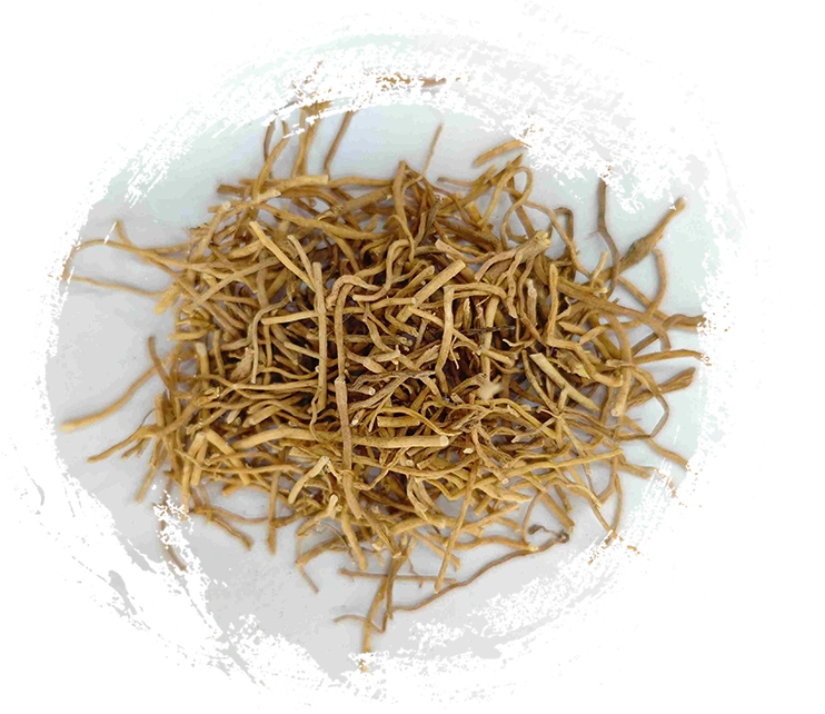 Herba Diplopanthis (Xú Cháng Qīng)