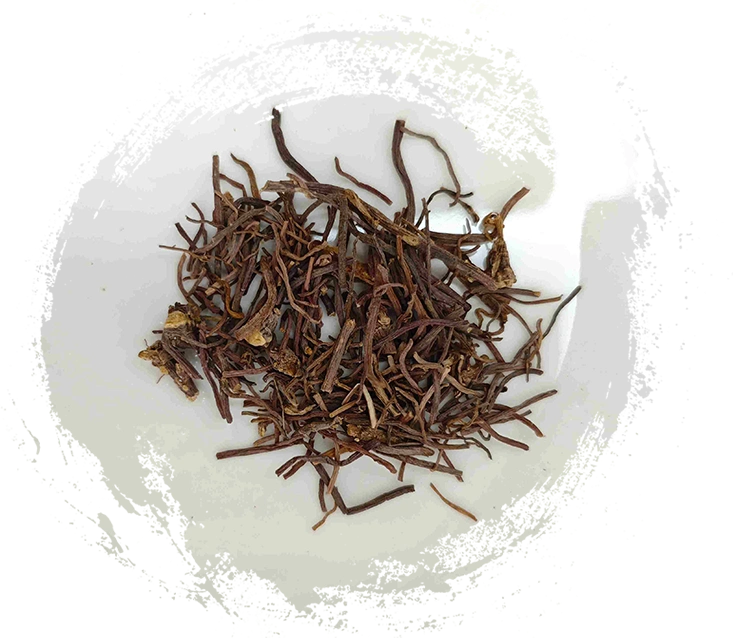 Panduan Penting untuk Menanam TCM: Ciri, Fungsi dan Penyelesaian Holistik
