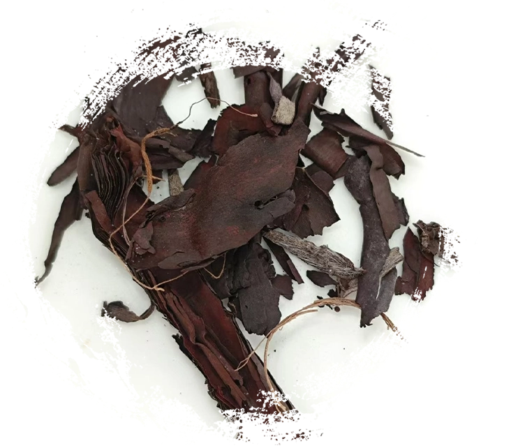 Cara Perubatan Herba Cina Berfungsi: Prinsip, Mekanisme dan Aplikasi Praktikal