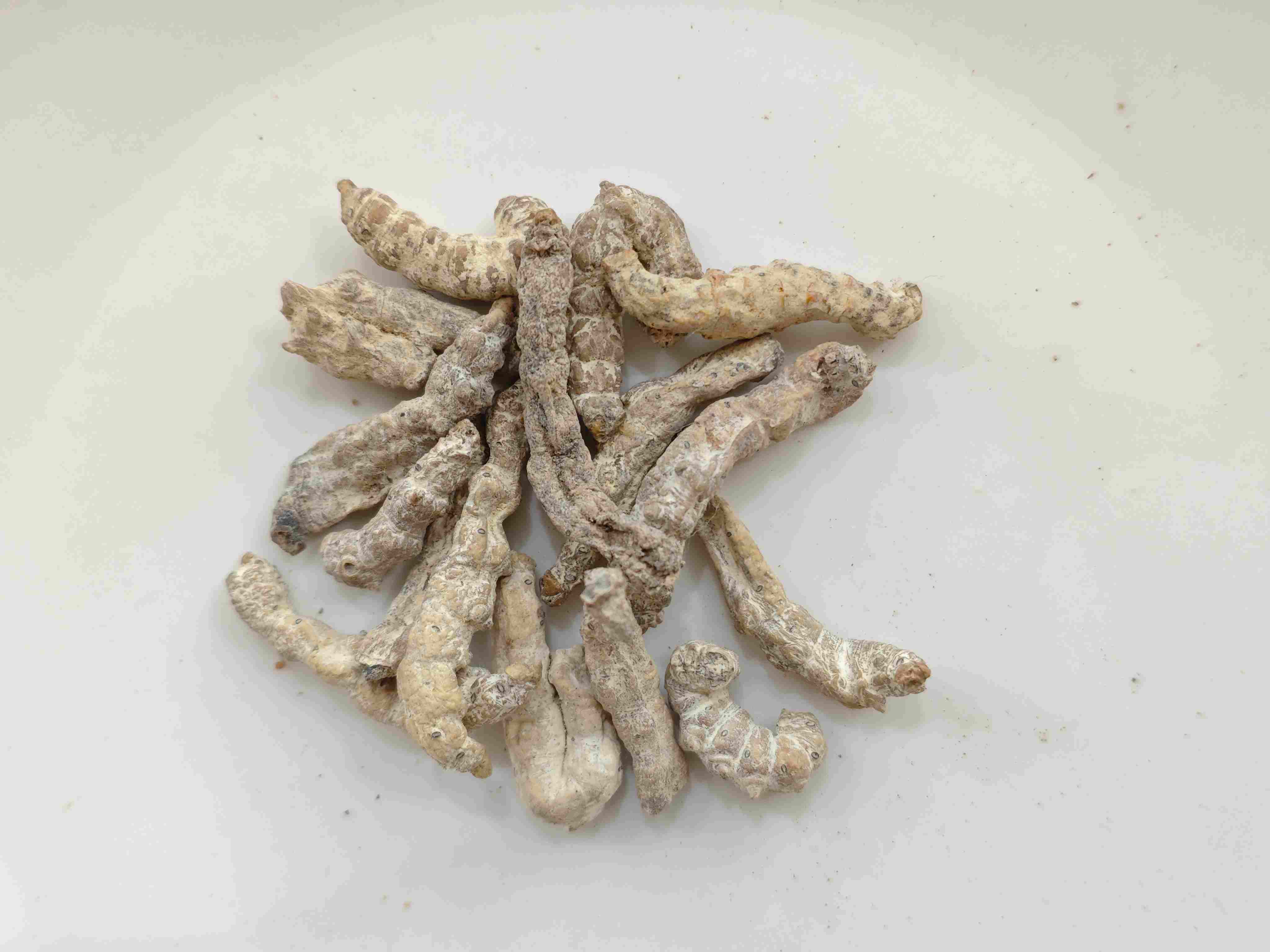 Sutera Sutera (Jiāngcán)