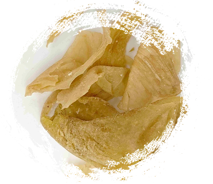 Kegunaan Utama dan Peranan Terapeutik Bahan Perubatan Tradisional Cina (TCM) Berasaskan Haiwan