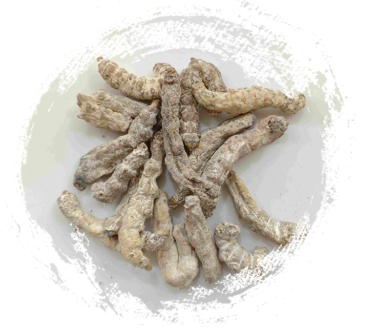 Sutera Sutera (Jiāngcán)