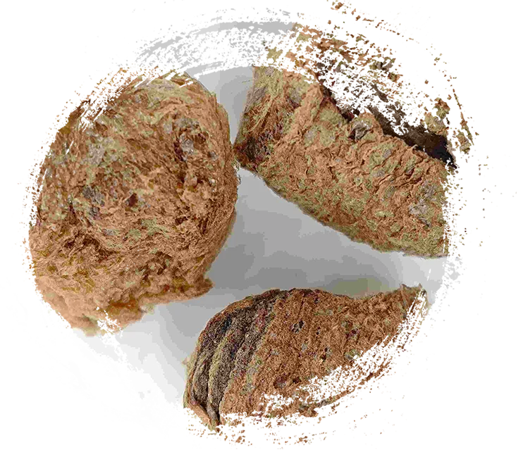 Silkworm exuviae (sāngpiáoqiào)